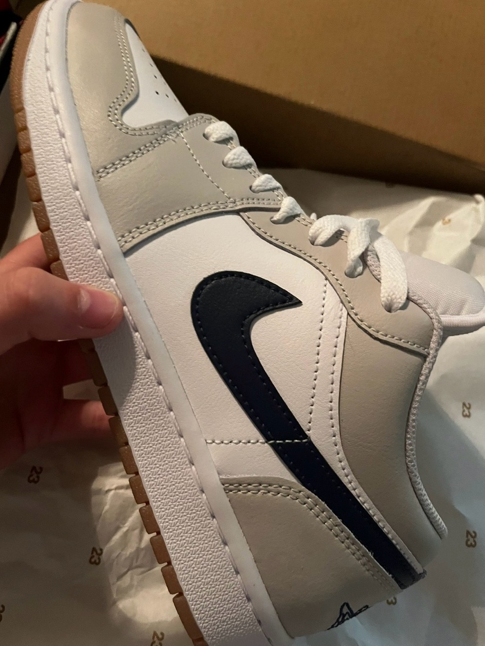 Jordan 1 lows